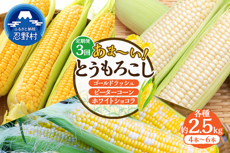 __ZNg(3񂨓͂) 2026Ns\^^ xmk[E쑺̋CAARōꂽ̂gERViZNgցjs2.5kg 4`6{t