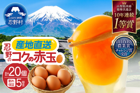 "忍野の卵"コクの赤玉20個 ※割れ保証含む 卵