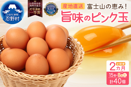 [2ヶ月定期便]"忍野の卵"旨味のピンク玉 ※卵15個+割れ保証5個 計40個