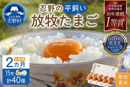 [2ヶ月定期便]忍野の平飼い放牧卵20個(15個+割れ保証5個)