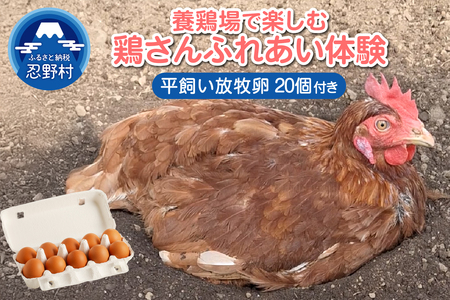 養鶏場で楽しむ鶏さんふれあい体験(平飼い放牧卵20個付き)