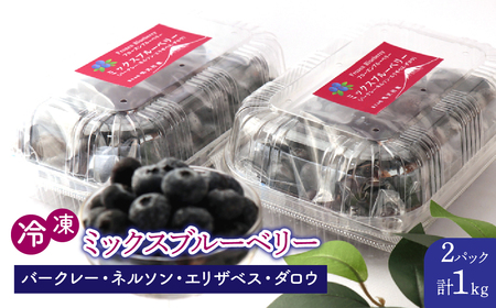鳴沢村産冷凍ミックスブルーベリー(バークレー・ネルソン・エリザベス・ダロウ)500g×2パック