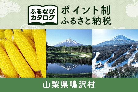 [有効期限なし!後からゆっくり特産品を選べる]山梨県鳴沢村カタログポイント