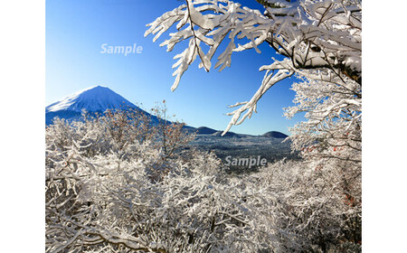 富士山フォトパネル(雪景色)