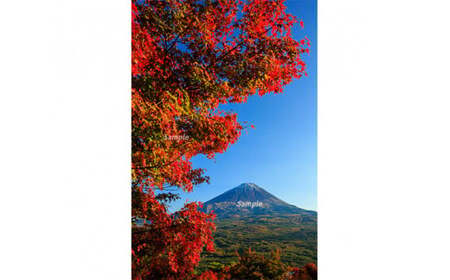 富士山フォトパネル(紅葉)