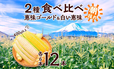 y2026Ns\zƂ낱 CG[  zCg 2 Hה bS[h b 400gȏ e6{ v12{   { Yn  Γ؏oבg R xm͌Β