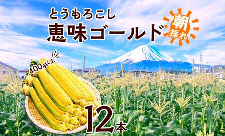 y2026Ns\zƂ낱 b S[h 400gȏ×12{ v4.8kgȏ x gERV XC[gR[ 冋o CG[R[  Ė Â W[V[   { Yn 