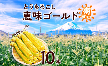 y2026Ns\zƂ낱 b S[h 400gȏ×10{ v4kgȏ x gERV XC[gR[ 冋o CG[R[  Ė Â W[V[   { Yn 