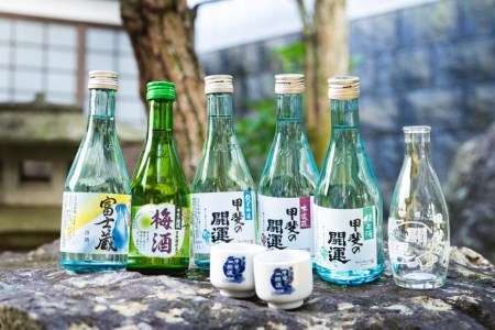 甲斐の開運 日本酒5種飲み比べEnjoy セット 各300ml オリジナルお猪口2個と徳利つき [井出醸造店]