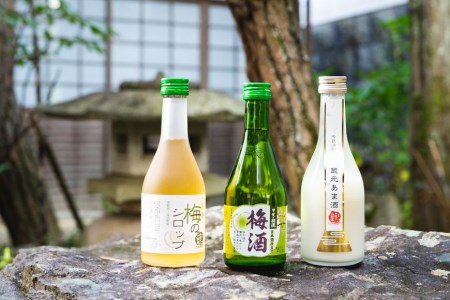 甲斐の開運 梅酒・梅のシロップ・蔵元あま酒セット 300ml×各2本 [井出醸造店]