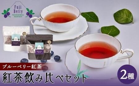 Fuji Berry u[x[gݔ׃Zbgi2×2j