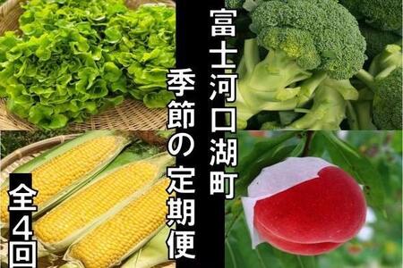 [2025年5~9月全4回]富士河口湖町から季節の定期便(レタス・ブロッコリー・とうもろこし・訳あり桃) 先行予約