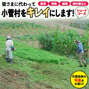 ふるさと小菅をきれいに!除草、清掃等サービス(ショートコース)