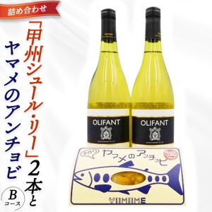 笹一酒造ワイン&ヤマメのアンチョビ詰め合わせ(Bコース)