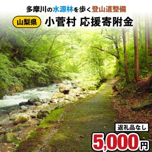 【返礼品なし】多摩川の水源林を歩く登山道整備支援金＜小菅村応援寄附金5,000円＞