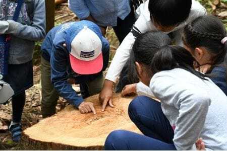 【多摩川の源流で間伐体験】体験コース