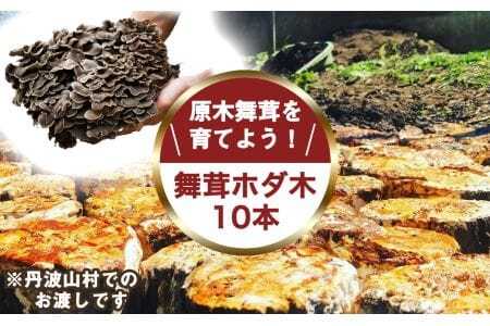 [村に取りに来られる方限定]丹波山村の原木舞茸のほだ木販売 10本 原木舞茸を自分で育ててみませんか[tab0202]