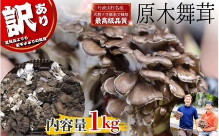 [2026年発送分先行予約]訳あり 丹波山村産 原木舞茸 約1kg 2026年秋頃より順次発送予定 / 丹波山名産 希少 無農薬 無添加 舞茸 まいたけ わけあり 規格外 正規品より若干小振り 原木栽培 きのこ キノコ 産地直送[tab0240]