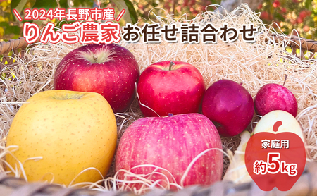 2024年長野市産 (2024年12月〜2025年2月出荷)りんご農家お任せ詰合わせ 家庭用約5kg