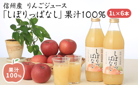 信州産 りんごジュース 「しぼりっぱなし」 果汁100% (1L×6本)