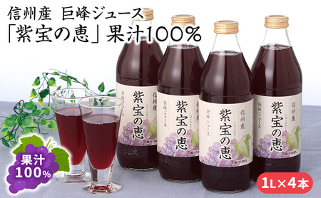 信州産 巨峰ジュース 果汁100% 「紫宝の恵」 (1L×4本)