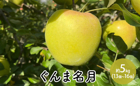 ܖ5kgi13`16j
