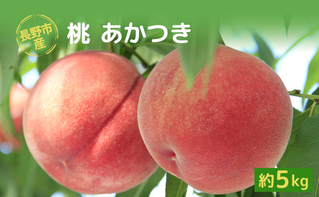 2026年発送 長野市産桃「あかつき」約5kg 