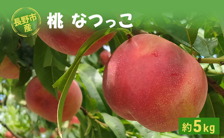 長野市産桃「なつっこ」約5kg 