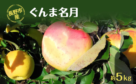 長野市産「ぐんま名月」約5kg 