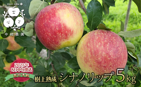 先行予約 りんご 5kg 樹上熟成 シナノリップ 林檎 リンゴ 果物 くだもの フルーツ 旬の果物 旬のフルーツ 季節の果物 季節のフルーツ 美味しい果物 長野県産 長野県産りんご 信州 長野 長野県 長野市
