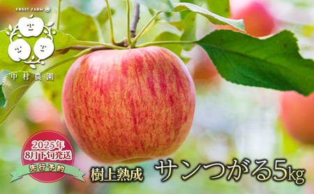 先行予約 りんご 5kg 樹上熟成 サンつがる 林檎 リンゴ 果物 くだもの フルーツ 旬の果物 旬のフルーツ 季節の果物 季節のフルーツ 美味しい果物 長野県産 長野県産りんご 信州 長野 長野県 長野市
