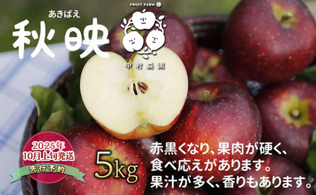 先行予約 りんご 5kg 樹上熟成 秋映 林檎 リンゴ 果物 くだもの フルーツ 旬の果物 旬のフルーツ 季節の果物 季節のフルーツ 美味しい果物 長野県産 長野県産りんご 信州 長野 長野県 長野市