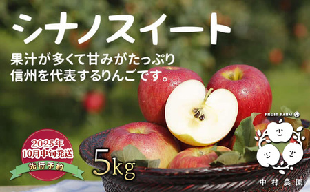 先行予約 りんご 5kg 樹上熟成 シナノスイート 林檎 リンゴ 果物 くだもの フルーツ 旬の果物 旬のフルーツ 季節の果物 季節のフルーツ 美味しい果物 長野県産 長野県産りんご 信州 長野 長野県 長野市