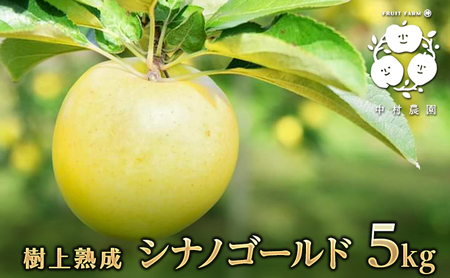 y2025NYzn@VimS[h 5kg