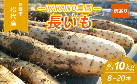 先行予約 長野市松代産 TAKANO農園 長いも 約10kg(訳あり)[8〜20本]長芋 ながいも