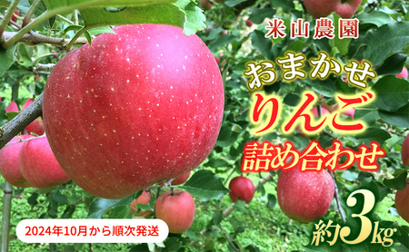 りんご 米山農園のおまかせりんご詰め合わせ約3kg 2024年10月から順次発送 紅玉 秋映え シナノスイート シナノゴールド 王林 さんふじ セット 長野県 長野市