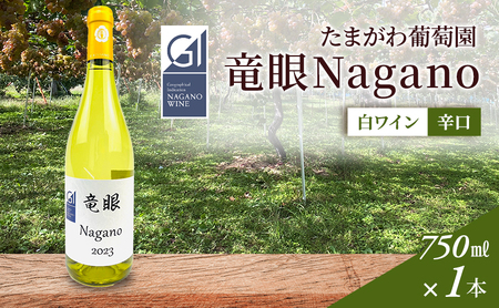 ワイン 竜眼Nagano [GI長野]認定 長野市 白ワイン