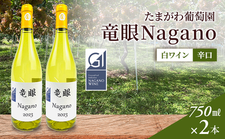 ワイン　竜眼Nagano　【GI長野】認定　2本セット 長野市 白ワイン
