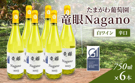 ワイン　竜眼Nagano　【GI長野】認定　6本セット 長野市 白ワイン