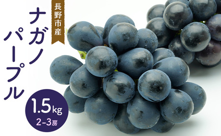 ナガノパープル 1.5kg 2-3房 長野市産 フルーツ 果物 ぶどう ※配送不可:沖縄、離島
