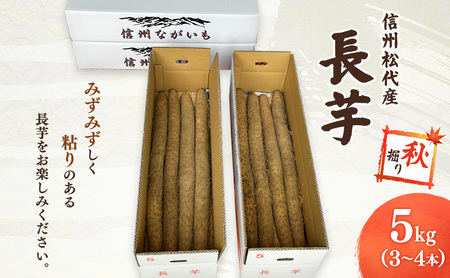 長芋[秋掘り] 信州 長野市 お取り寄せ とろろ 長いも ながいも 山芋 芋 いも 野菜 根菜