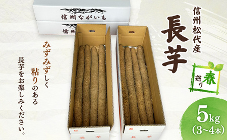 長芋[春掘り] 信州 長野市 お取り寄せ とろろ 長いも ながいも 山芋 芋 いも 野菜 根菜