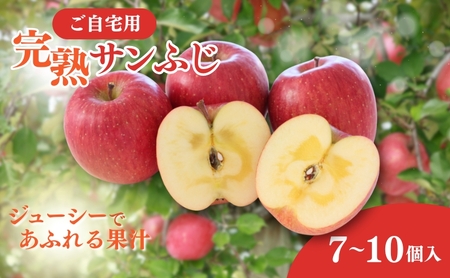 りんご ご自宅用 完熟サンふじ 7-10個入り リンゴ フルーツ 果物 デザート 信州 長野市