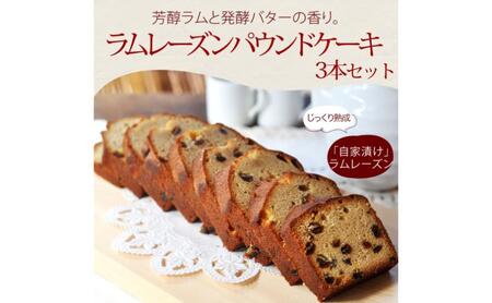 [焼き菓子のうさぎ堂 謹製]じっくり熟成したラムレーズンのパウンドケーキ 3本セット 焼菓子 スイーツ お取り寄せ グルメ 長野市