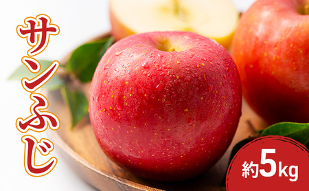 2026年産先行予約サンふじ 5kg 果物 フルーツ りんご 長野県