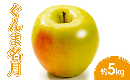 2026年産先行予約ぐんま名月5kg 果物 フルーツ りんご 長野県