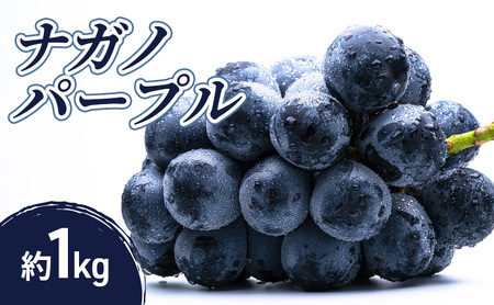 2026�N�Y��s�\��i�K�m�p�[�v�� 1kg �ʕ� �t���[�c �Ԃǂ� ���쌧