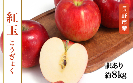 紅玉訳アリ8kg りんご 長野市産 フルーツ