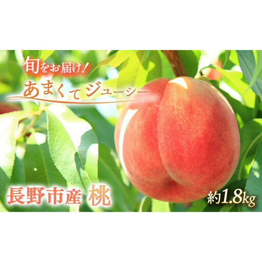 長野県 長野市産 桃1.8kg(6〜11個)[2026年7月下旬頃〜発送予定](矢島農園)