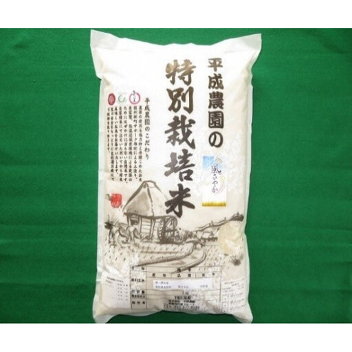 長野市産 風さやか 10kg 特別栽培米（平成農園）